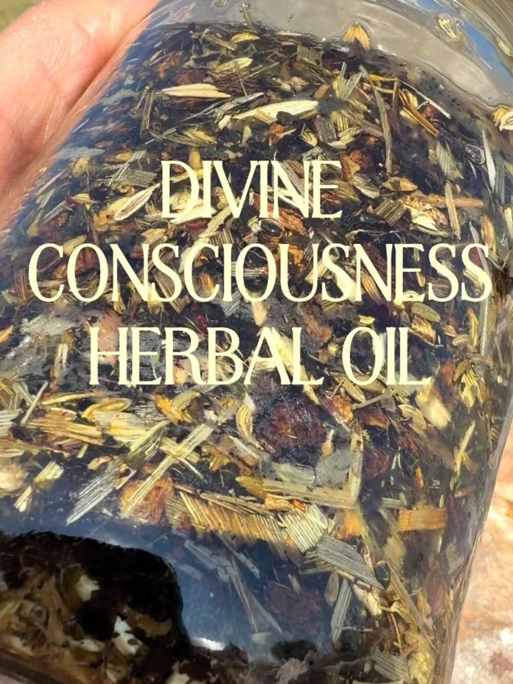 2 fl oz Divine Consciousness Oil: Ayurvedic Hair Growth Serum: 16 Herbs & Oils